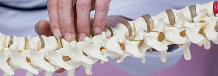 Chiropractic Woodbury MN Vertebral Subluxations Chiropractic Woodbury MN Vertebral Subluxations